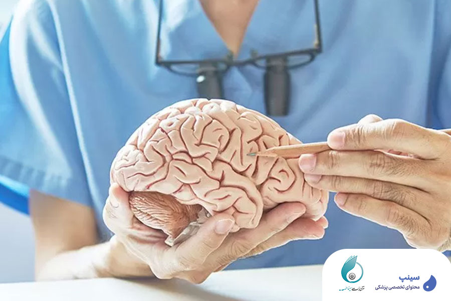 نورولوژی بخش اول